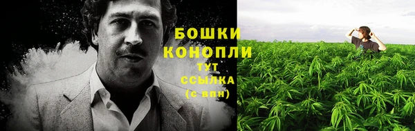 дмт Богородск