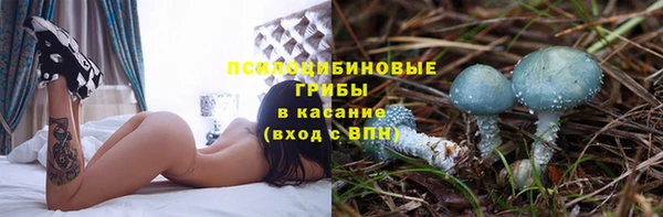 ALPHA PVP Богородицк
