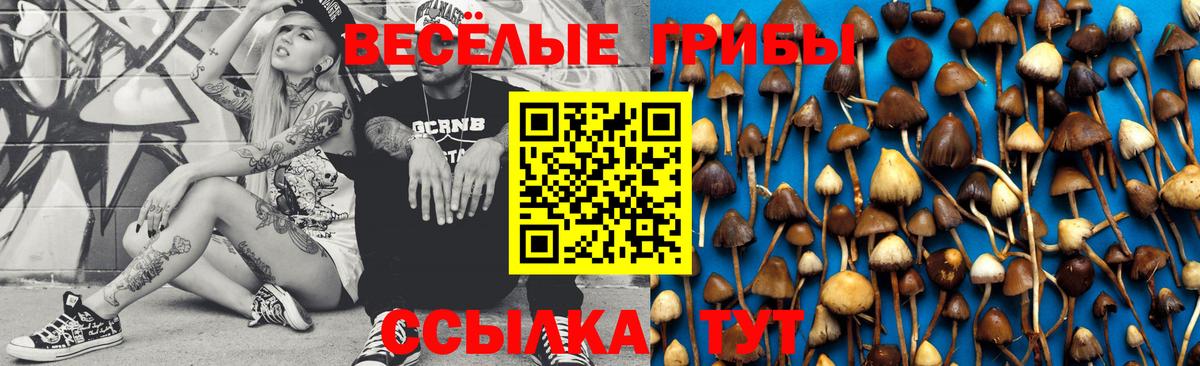 Галлюциногенные грибы MAGIC MUSHROOMS Кстово